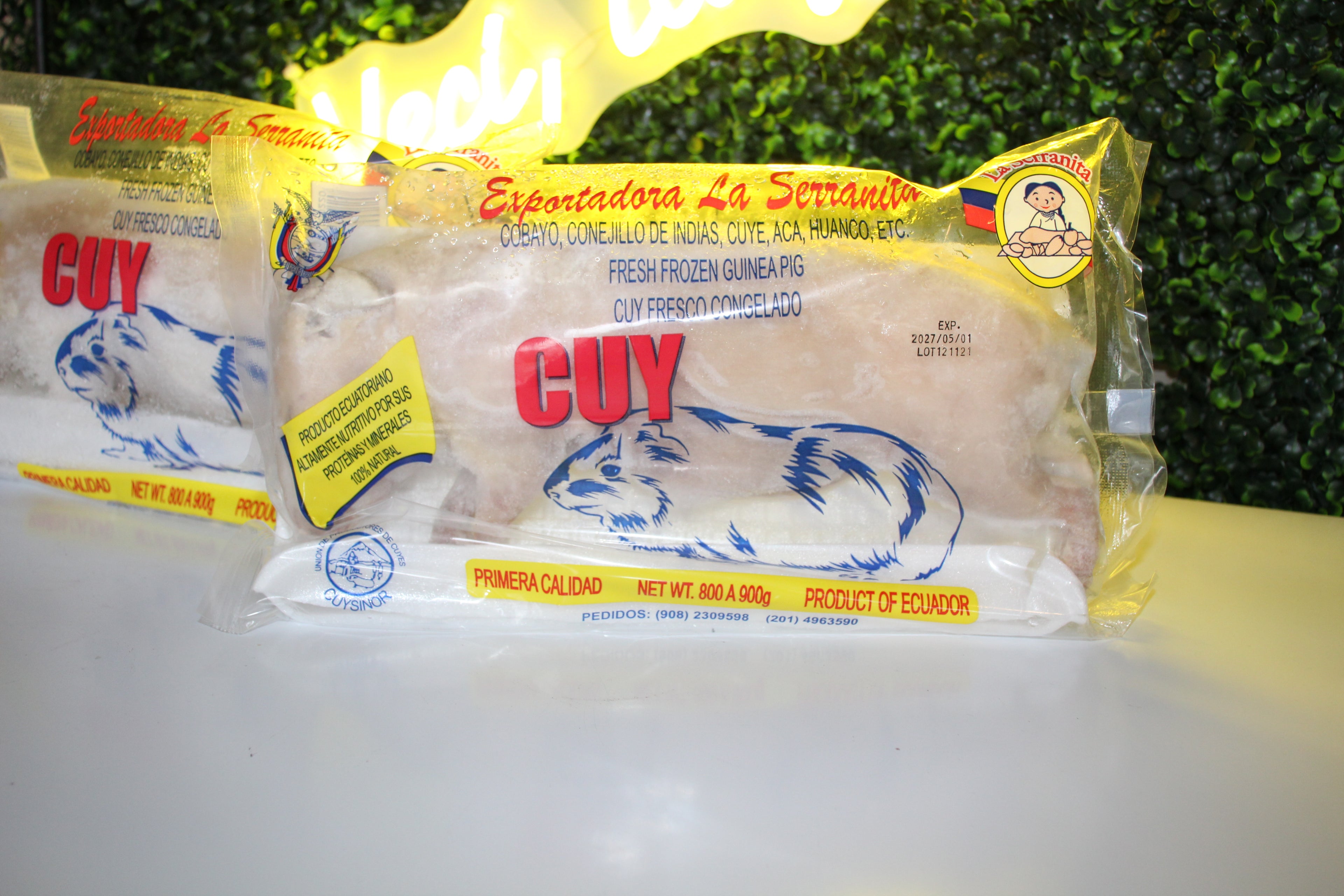 Cuy