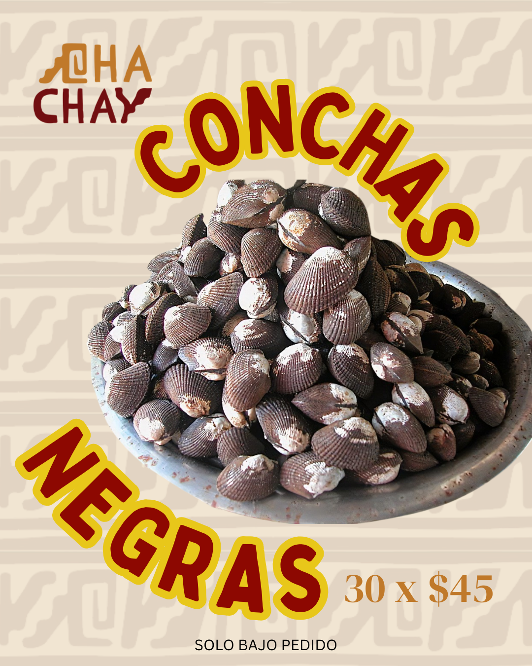 Conchas Negras 30