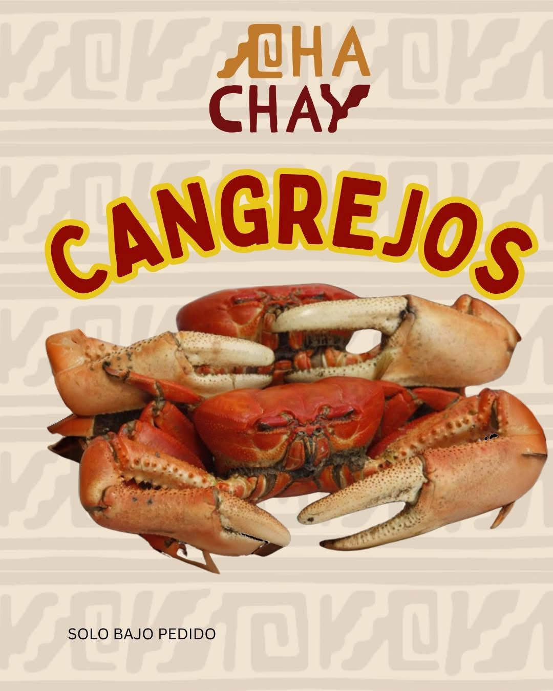 Cangrejo X 14